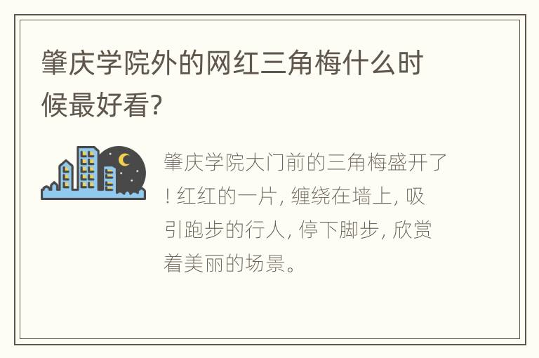 肇庆学院外的网红三角梅什么时候最好看？