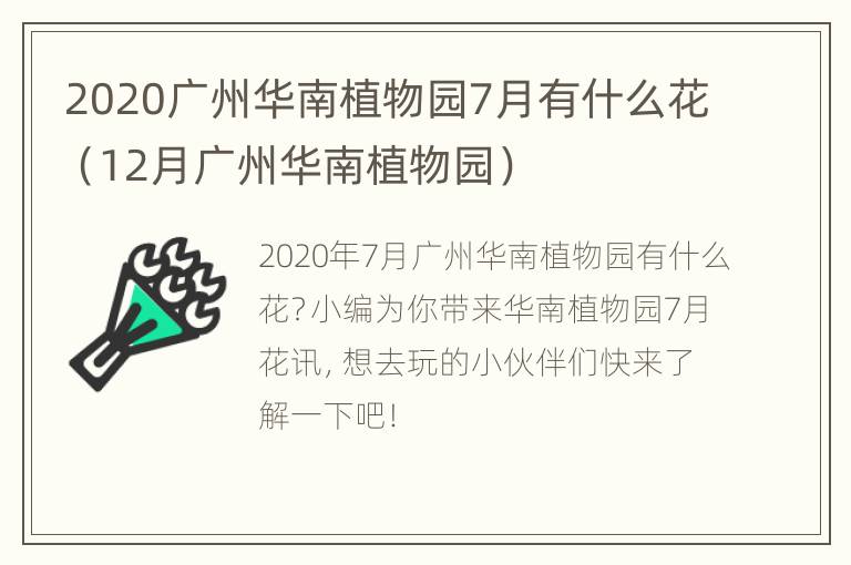 2020广州华南植物园7月有什么花（12月广州华南植物园）