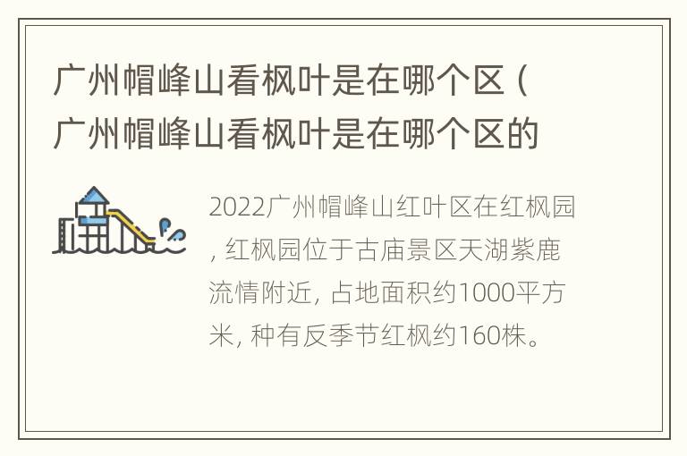 广州帽峰山看枫叶是在哪个区（广州帽峰山看枫叶是在哪个区的）