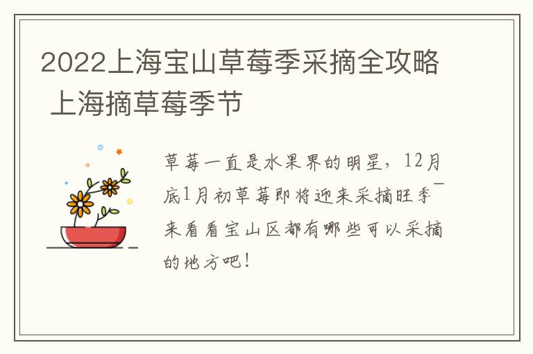 2022上海宝山草莓季采摘全攻略 上海摘草莓季节