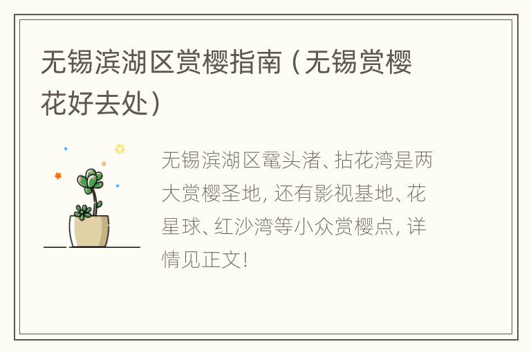 无锡滨湖区赏樱指南（无锡赏樱花好去处）