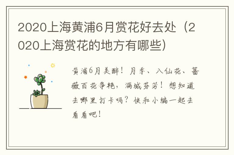 2020上海黄浦6月赏花好去处（2020上海赏花的地方有哪些）