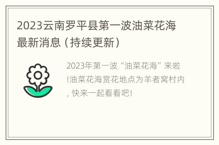 2023云南罗平县第一波油菜花海最新消息（持续更新）