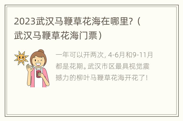 2023武汉马鞭草花海在哪里？（武汉马鞭草花海门票）