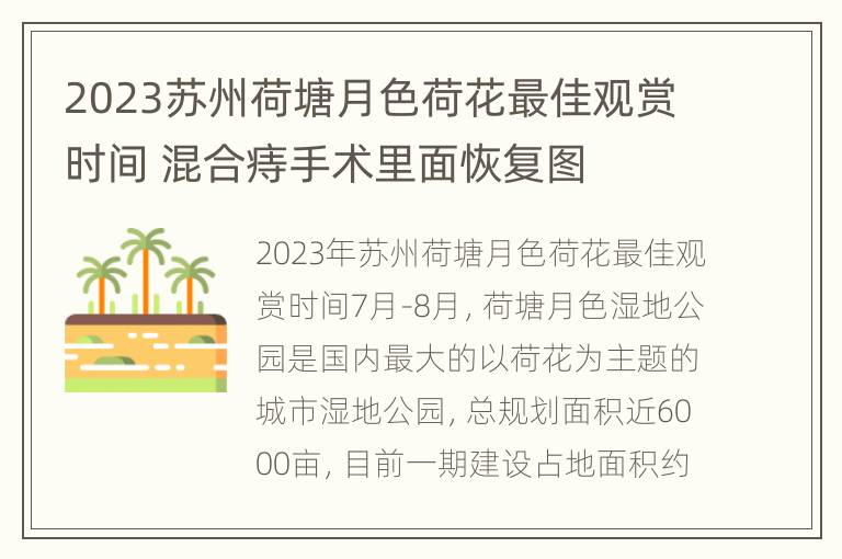 2023苏州荷塘月色荷花最佳观赏时间 混合痔手术里面恢复图