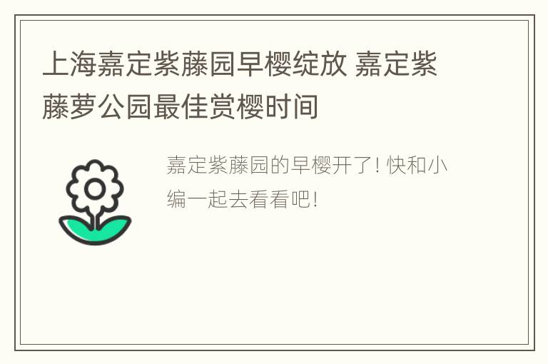 上海嘉定紫藤园早樱绽放 嘉定紫藤萝公园最佳赏樱时间