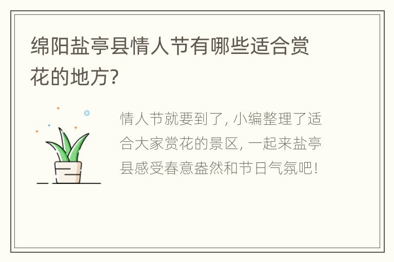 绵阳盐亭县情人节有哪些适合赏花的地方？