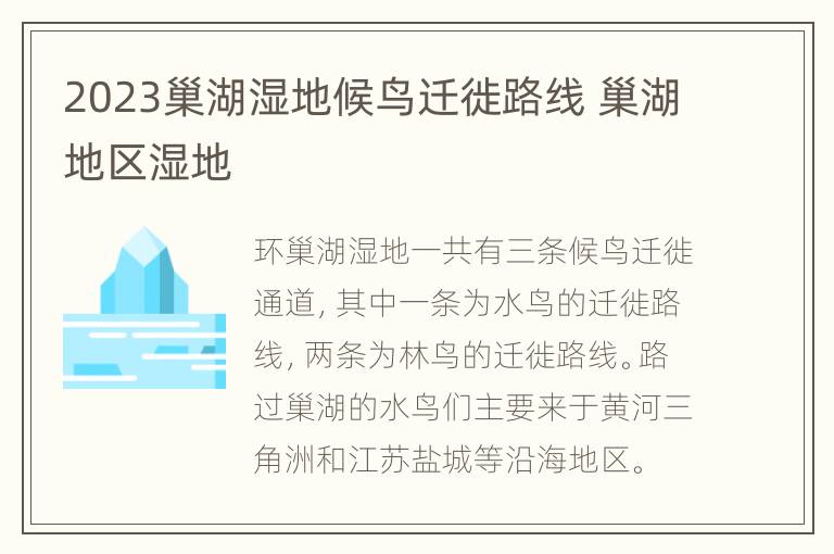 2023巢湖湿地候鸟迁徙路线 巢湖地区湿地