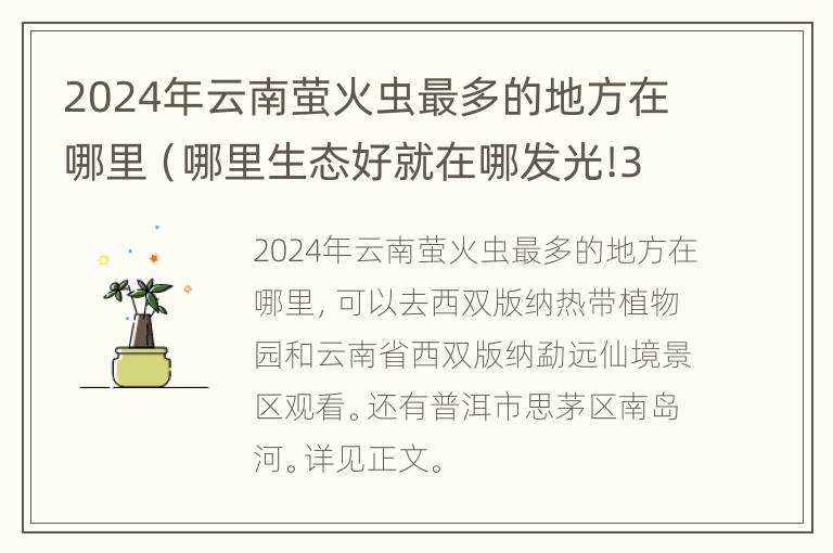 2024年云南萤火虫最多的地方在哪里（哪里生态好就在哪发光!3个萤火虫新品种现身云南）