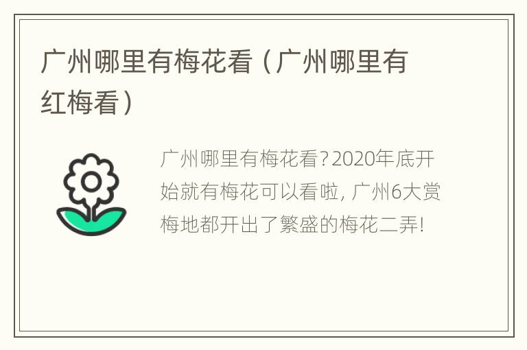 广州哪里有梅花看（广州哪里有红梅看）