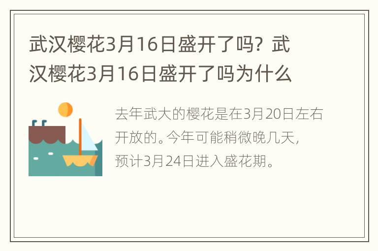 武汉樱花3月16日盛开了吗？ 武汉樱花3月16日盛开了吗为什么