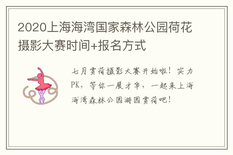 2020上海海湾国家森林公园荷花摄影大赛时间+报名方式