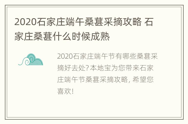 2020石家庄端午桑葚采摘攻略 石家庄桑葚什么时候成熟