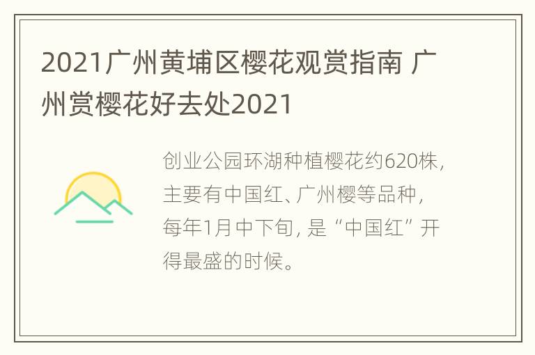 2021广州黄埔区樱花观赏指南 广州赏樱花好去处2021