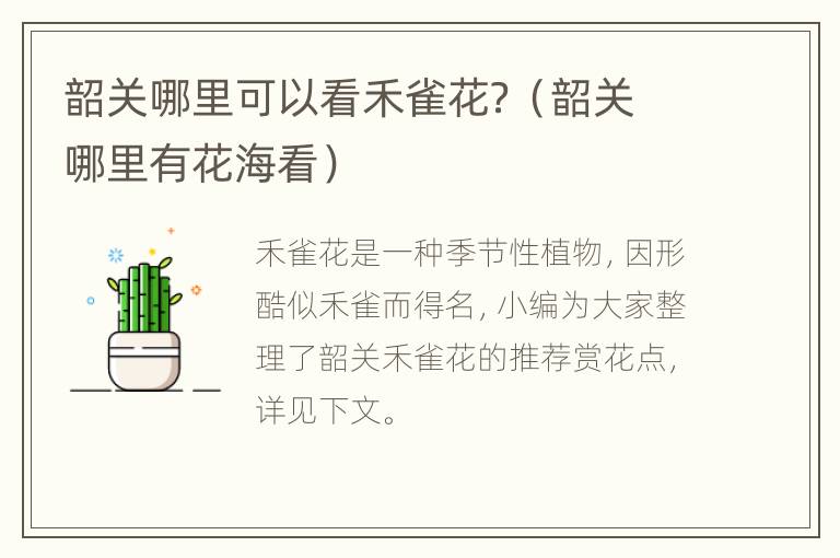 韶关哪里可以看禾雀花？（韶关哪里有花海看）