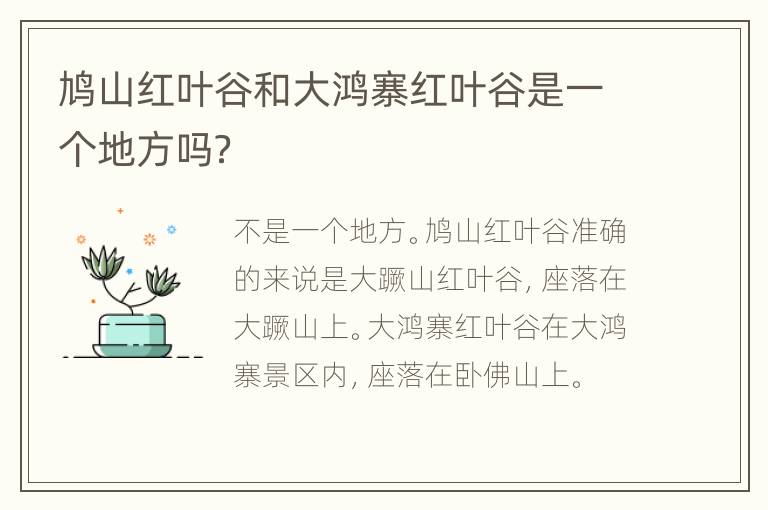 鸠山红叶谷和大鸿寨红叶谷是一个地方吗？