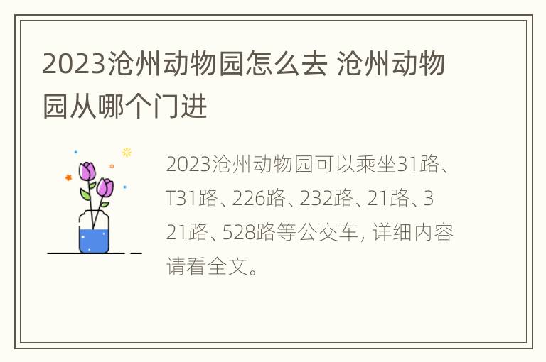 2023沧州动物园怎么去 沧州动物园从哪个门进