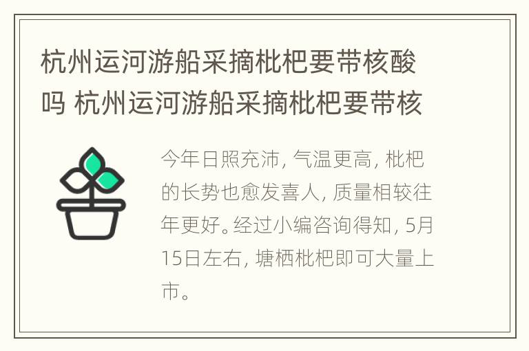 杭州运河游船采摘枇杷要带核酸吗 杭州运河游船采摘枇杷要带核酸吗现在