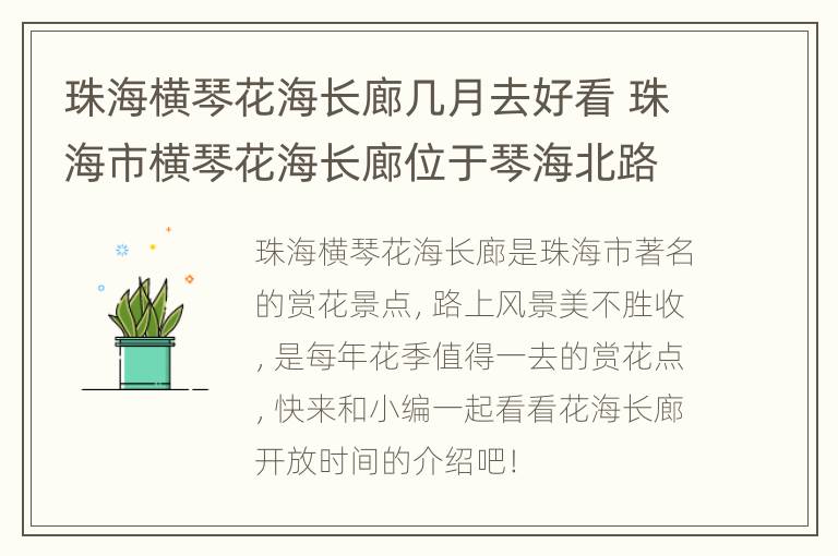 珠海横琴花海长廊几月去好看 珠海市横琴花海长廊位于琴海北路