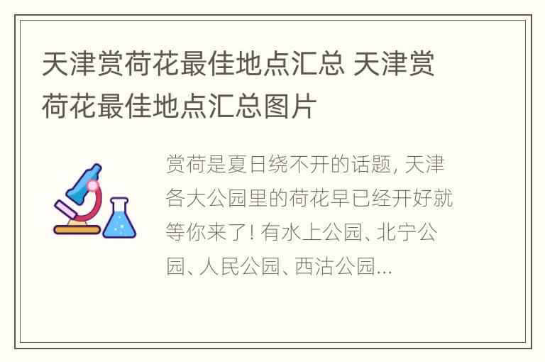 天津赏荷花最佳地点汇总 天津赏荷花最佳地点汇总图片