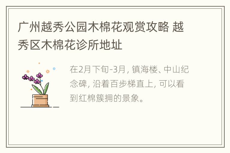 广州越秀公园木棉花观赏攻略 越秀区木棉花诊所地址