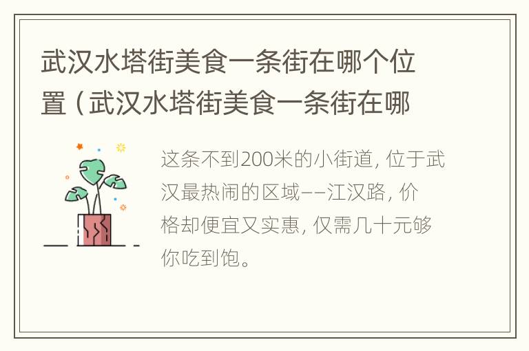 武汉水塔街美食一条街在哪个位置（武汉水塔街美食一条街在哪个位置啊）