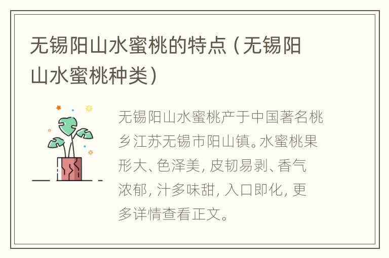 无锡阳山水蜜桃的特点（无锡阳山水蜜桃种类）