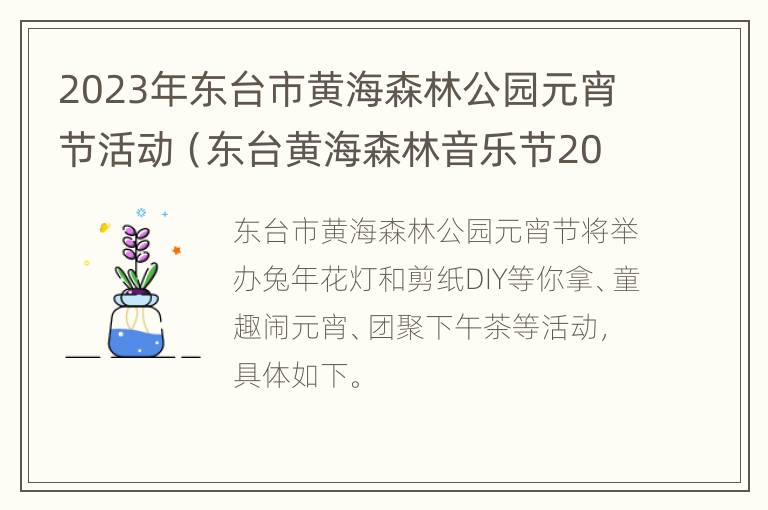 2023年东台市黄海森林公园元宵节活动（东台黄海森林音乐节2019）