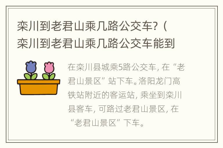 栾川到老君山乘几路公交车？（栾川到老君山乘几路公交车能到）