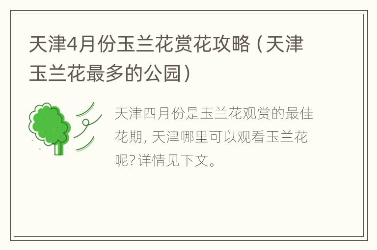 天津4月份玉兰花赏花攻略（天津玉兰花最多的公园）