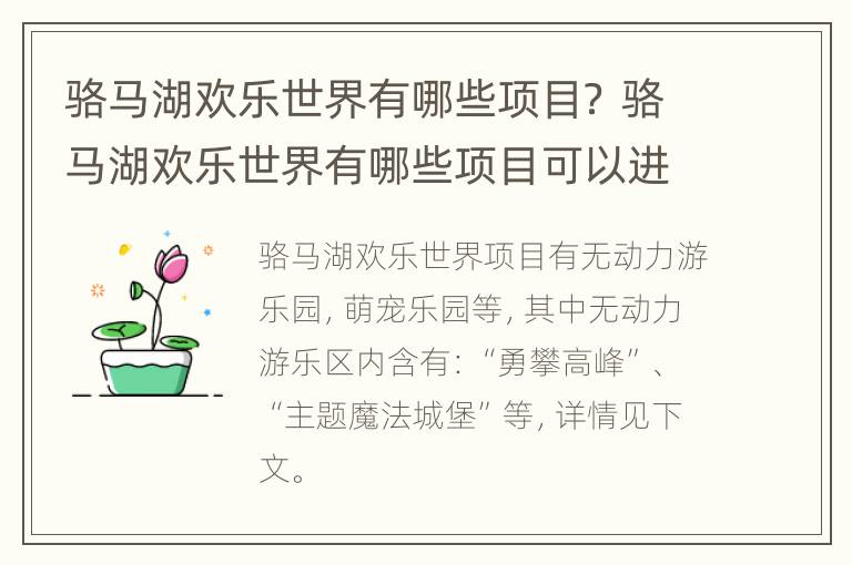 骆马湖欢乐世界有哪些项目？ 骆马湖欢乐世界有哪些项目可以进