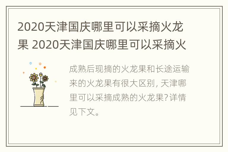 2020天津国庆哪里可以采摘火龙果 2020天津国庆哪里可以采摘火龙果呢