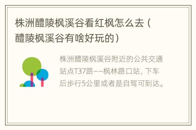 株洲醴陵枫溪谷看红枫怎么去（醴陵枫溪谷有啥好玩的）