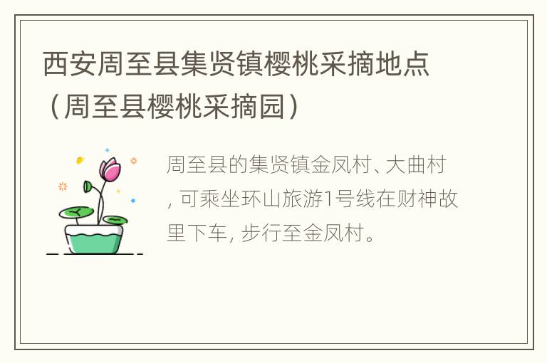 西安周至县集贤镇樱桃采摘地点（周至县樱桃采摘园）