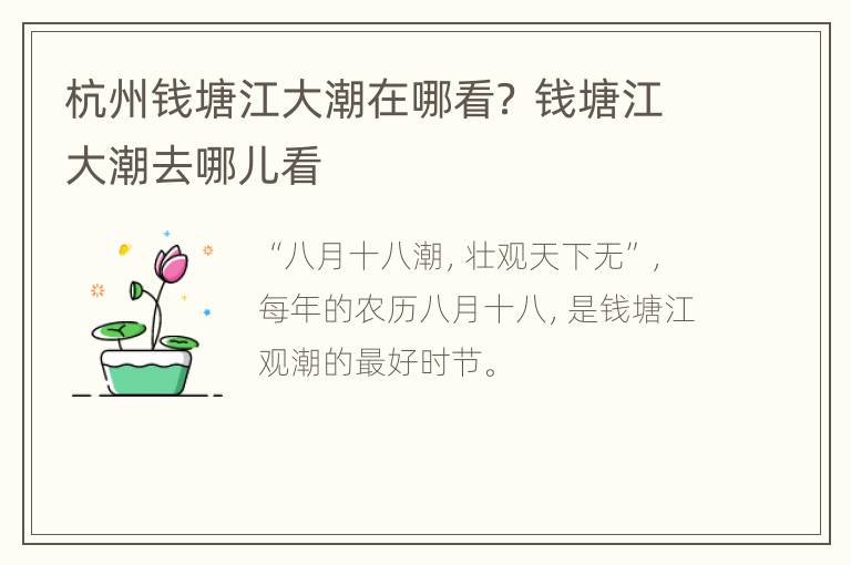 杭州钱塘江大潮在哪看？ 钱塘江大潮去哪儿看