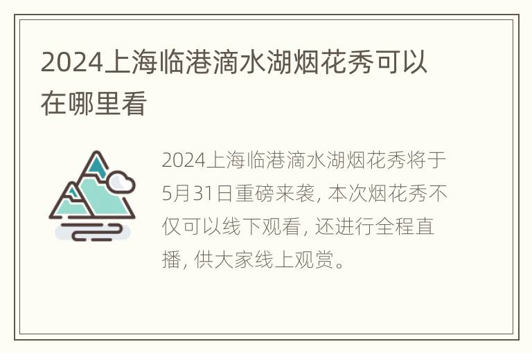 2024上海临港滴水湖烟花秀可以在哪里看