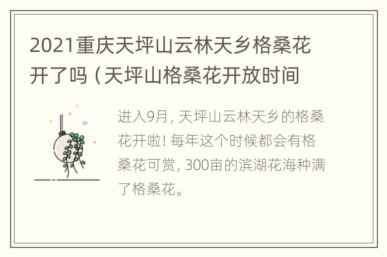 2021重庆天坪山云林天乡格桑花开了吗（天坪山格桑花开放时间）