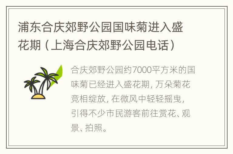 浦东合庆郊野公园国味菊进入盛花期（上海合庆郊野公园电话）