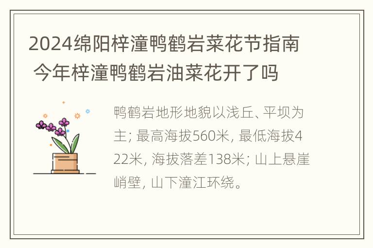 2024绵阳梓潼鸭鹤岩菜花节指南 今年梓潼鸭鹤岩油菜花开了吗