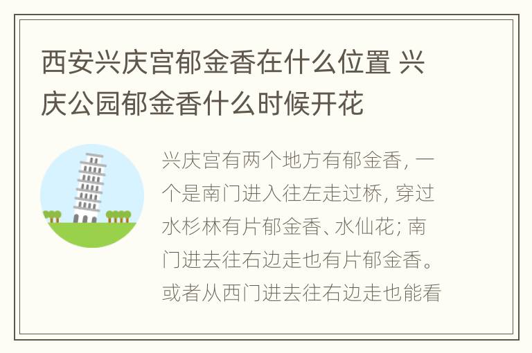 西安兴庆宫郁金香在什么位置 兴庆公园郁金香什么时候开花