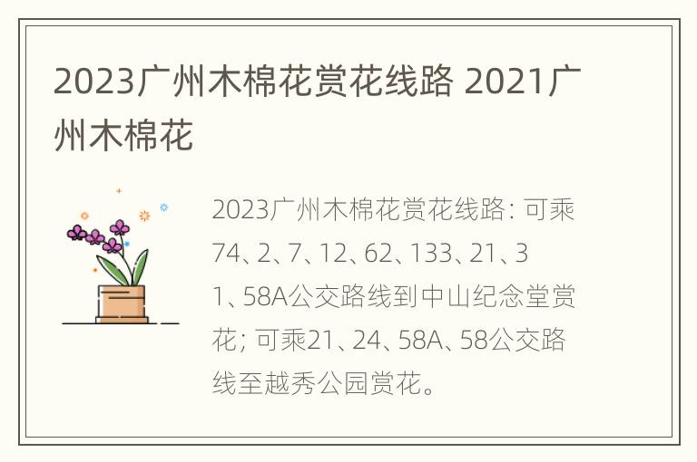 2023广州木棉花赏花线路 2021广州木棉花