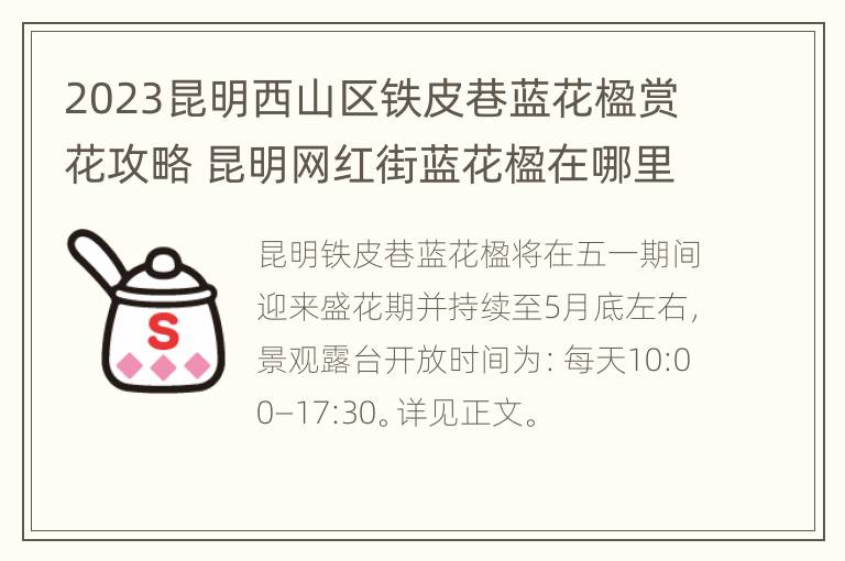 2023昆明西山区铁皮巷蓝花楹赏花攻略 昆明网红街蓝花楹在哪里