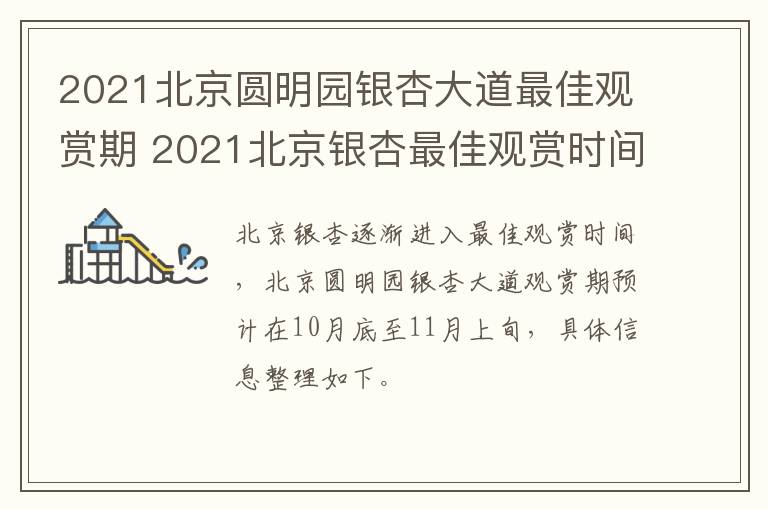 2021北京圆明园银杏大道最佳观赏期 2021北京银杏最佳观赏时间