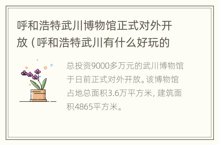 呼和浩特武川博物馆正式对外开放（呼和浩特武川有什么好玩的地方）