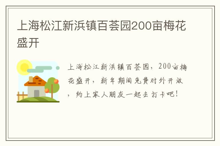 上海松江新浜镇百荟园200亩梅花盛开