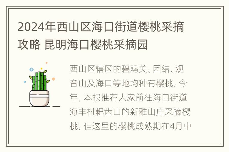 2024年西山区海口街道樱桃采摘攻略 昆明海口樱桃采摘园