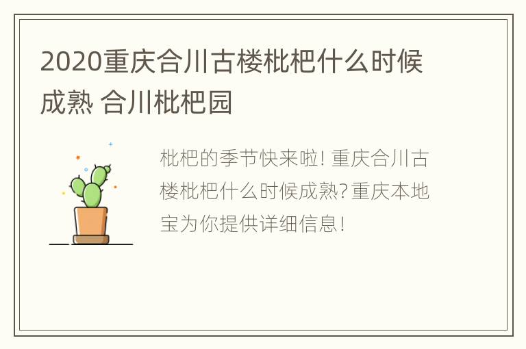 2020重庆合川古楼枇杷什么时候成熟 合川枇杷园