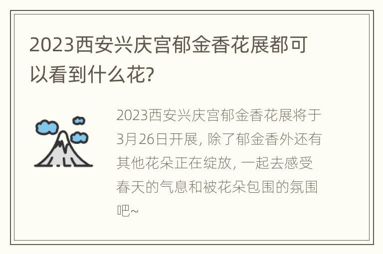 2023西安兴庆宫郁金香花展都可以看到什么花？