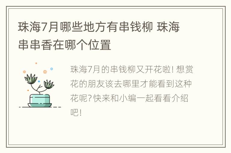 珠海7月哪些地方有串钱柳 珠海串串香在哪个位置