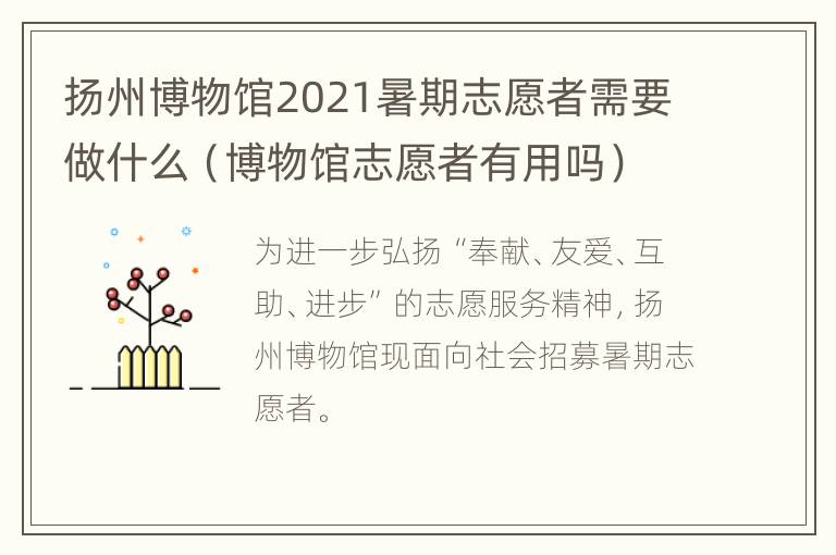 扬州博物馆2021暑期志愿者需要做什么（博物馆志愿者有用吗）